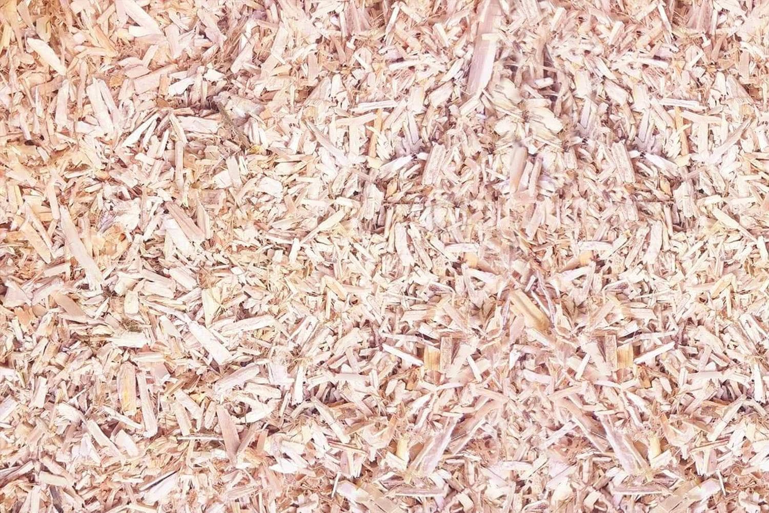 Hanfeinstreu für gesunde und glückliche Tiere