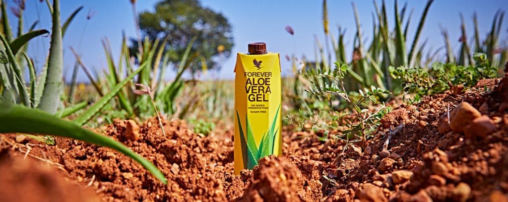 Vorteile eines Netzwerks für unabhängige Distributoren bei Forever Living