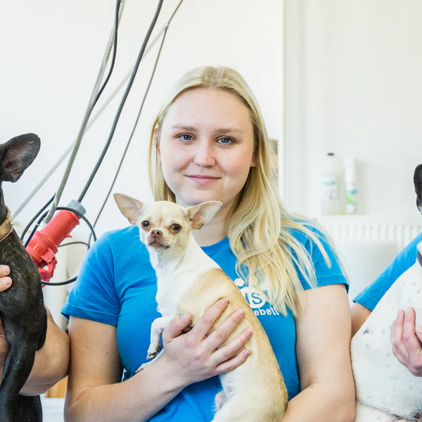 Handgefertigter Komfort: Unser AirleXX für deinen Vierbeiner!