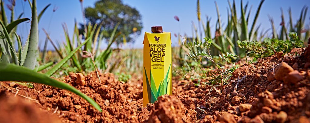 Vorteile eines Netzwerks für unabhängige Distributoren bei Forever Living
